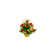 Лолита